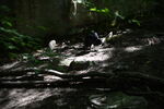 DSC_6917.JPG